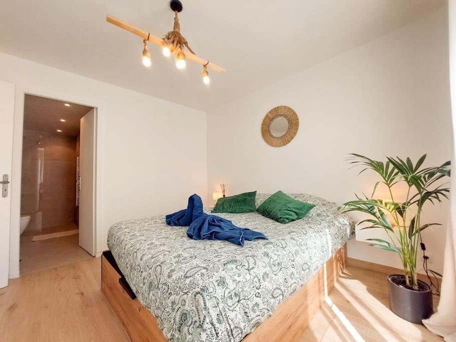 T2 Cosy Toulon, Proche Plage المظهر الخارجي الصورة