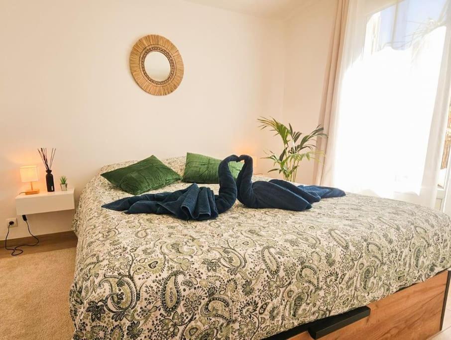 T2 Cosy Toulon, Proche Plage المظهر الخارجي الصورة